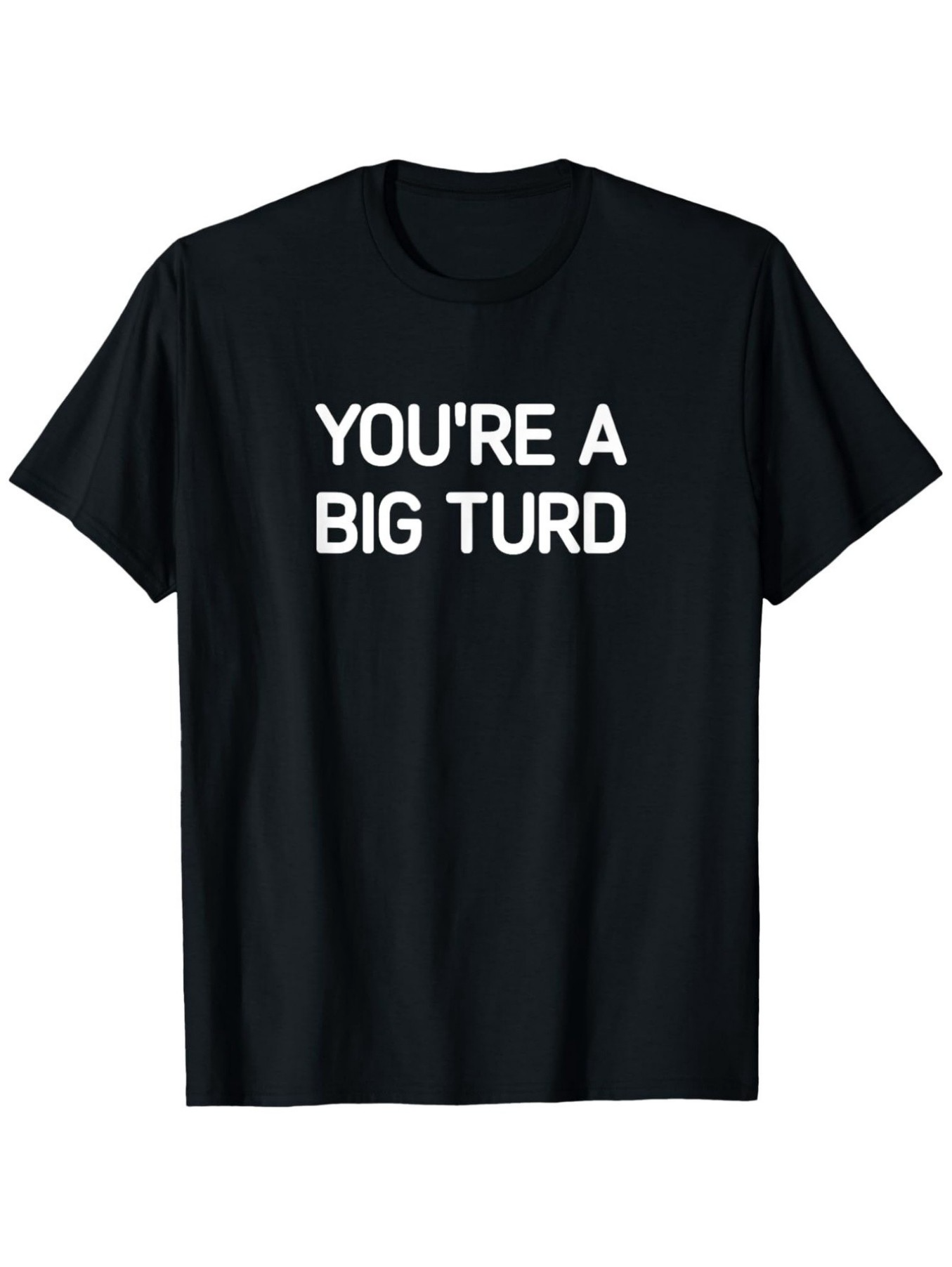 Men's Graphic T-Shirt Youre A Big Turd Bold Statement With Block Lettering On Black Shirt